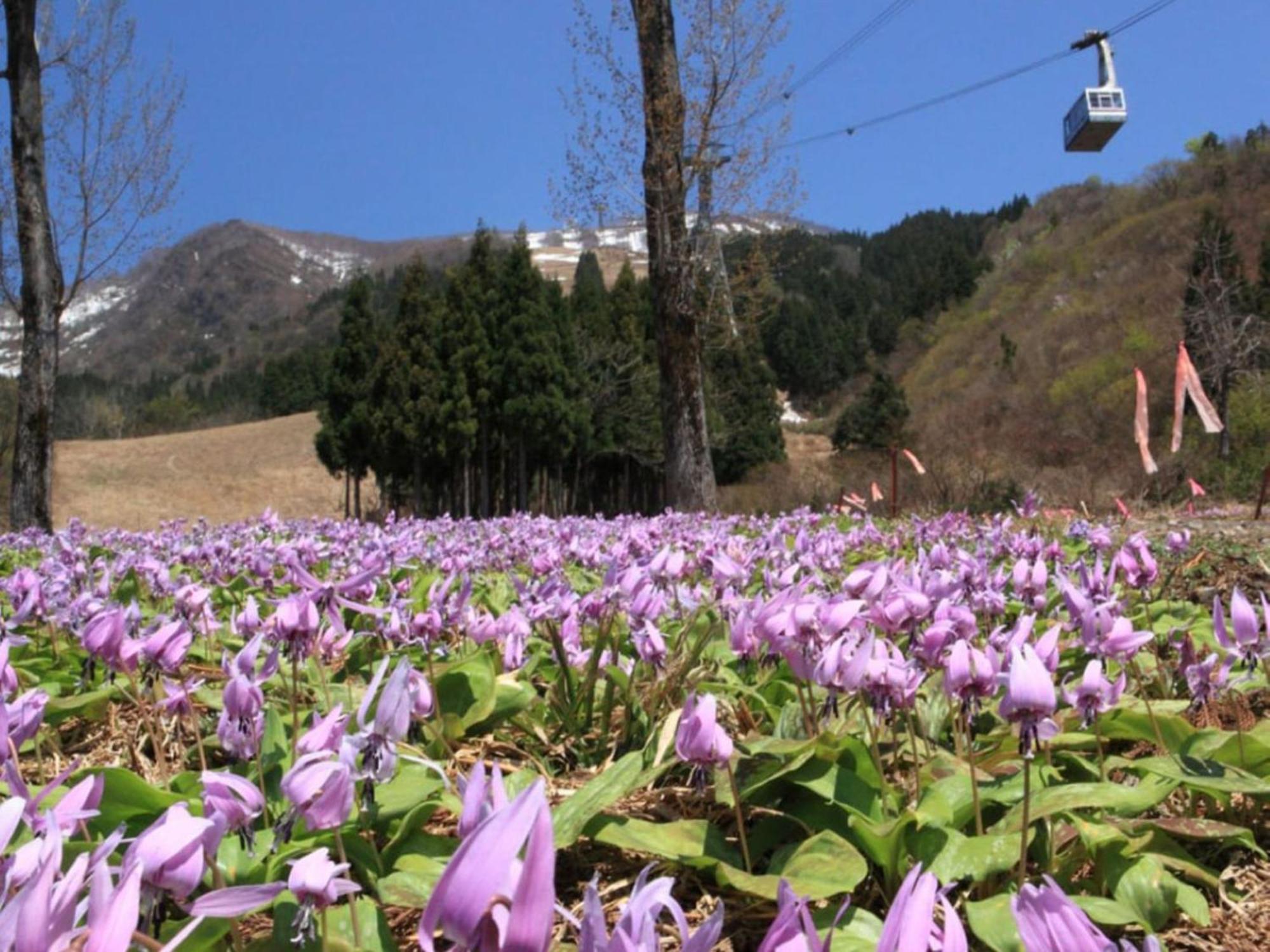 Pension Come Relax Tatami-room 12 tatami mats- Vacation STAY 14986 Minamiuonuma Esterno foto